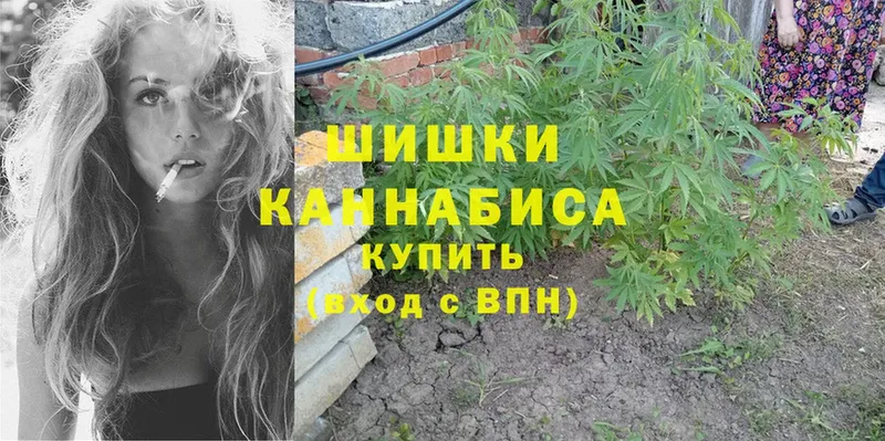 Бошки Шишки THC 21%  Покровск 